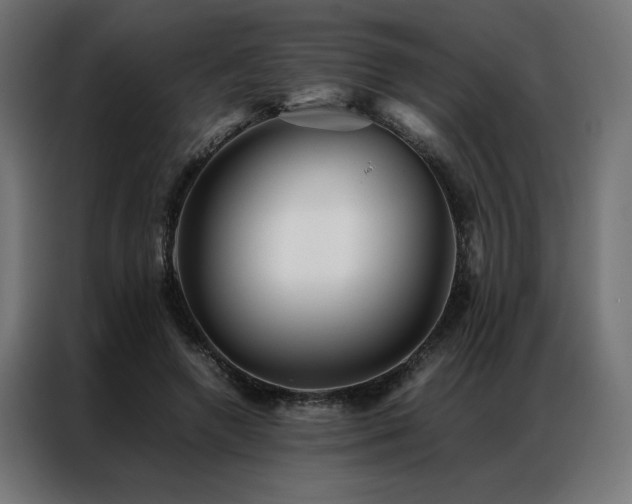 X0000086890546200704161250