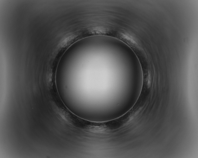 X0000086890548200704161250