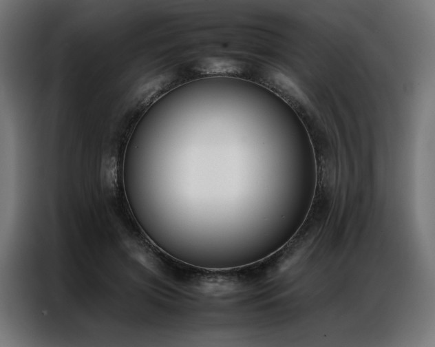 X0000086890549200704161250