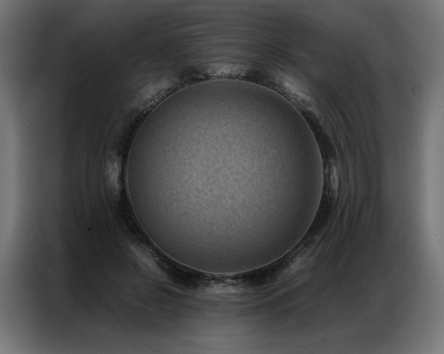 X0000086890550200704161250