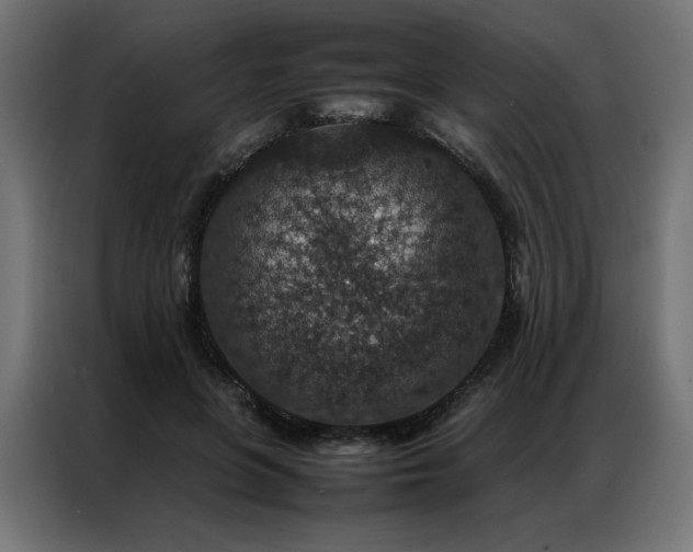 X0000086890551200704161250