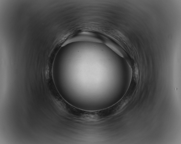 X0000086890552200704161250