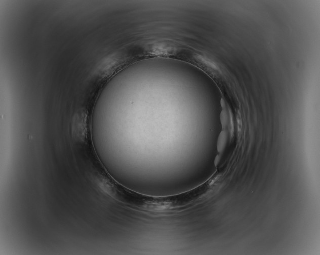 X0000086890554200704161250