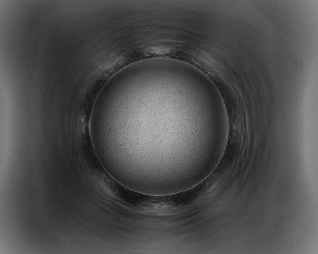 X0000086890555200704161250