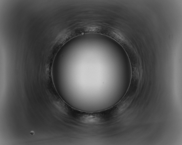 X0000086890557200704161251