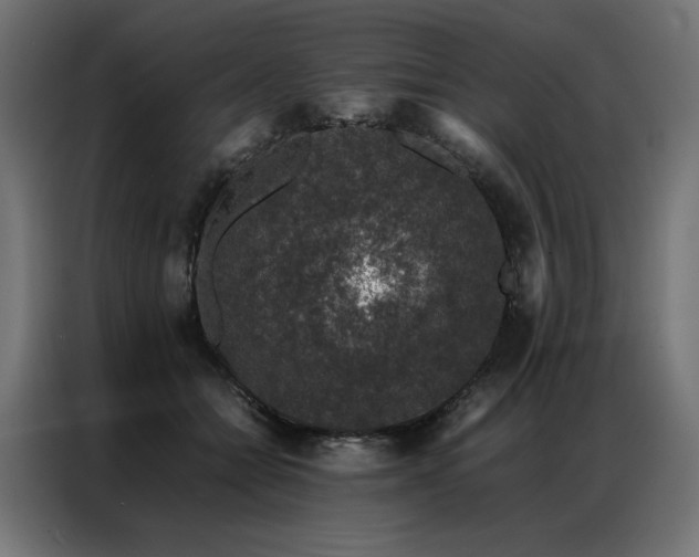 X0000086890558200704161251