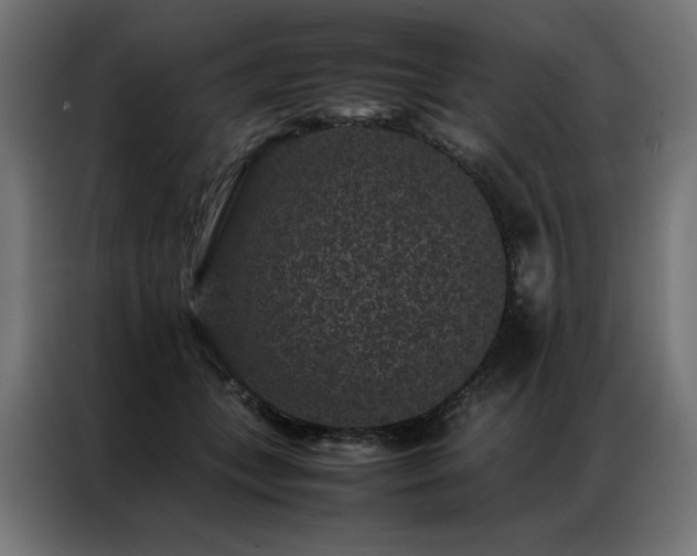 X0000086890559200704161251