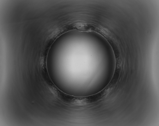 X0000086890560200704161251