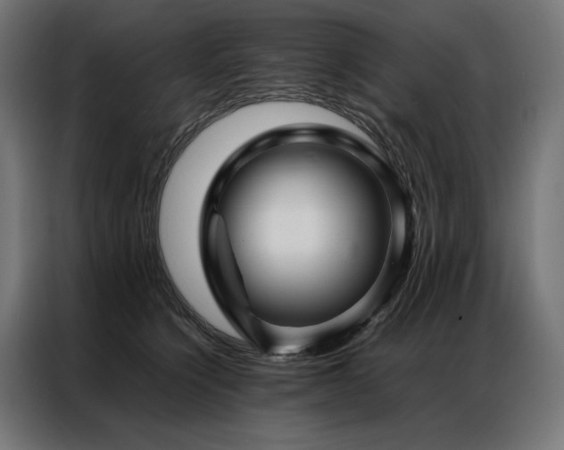 X0000086890564200704161251