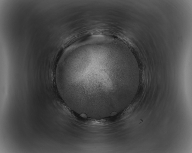 X0000086890569200704161251