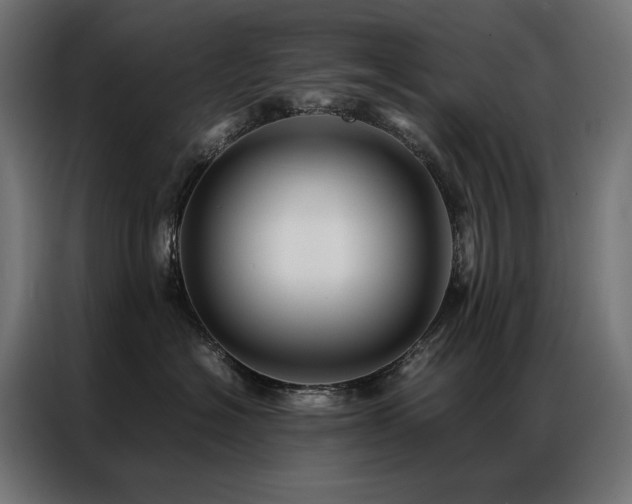 X0000086890574200704161251