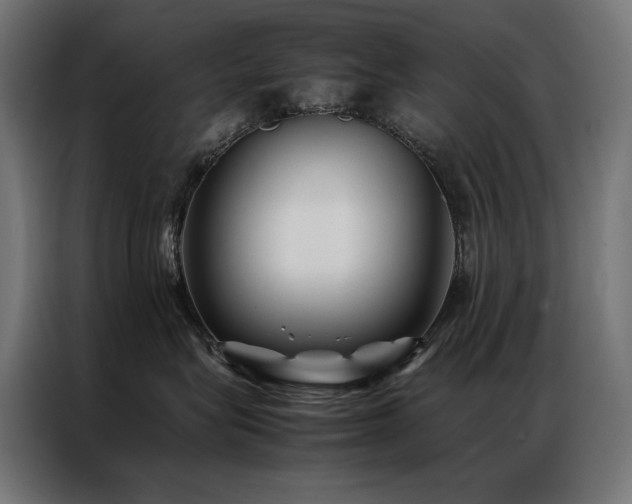 X0000086890575200704161251