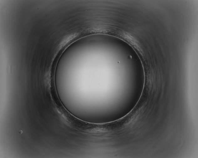 X0000086890578200704161250