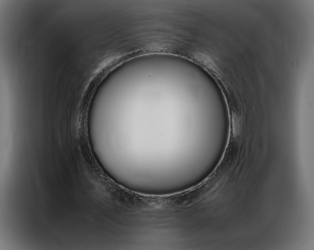 X0000086890579200704161250