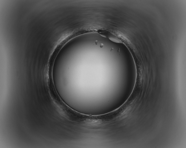 X0000086890582200704161250