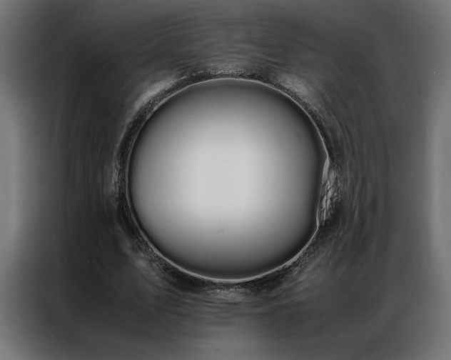 X0000086890583200704161250