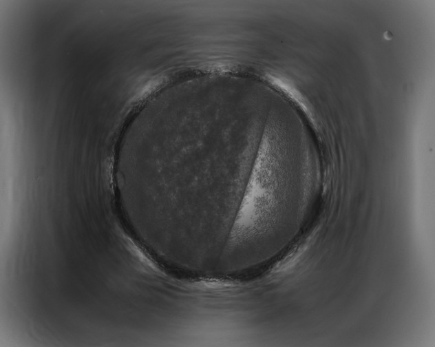 X0000086890585200704161250