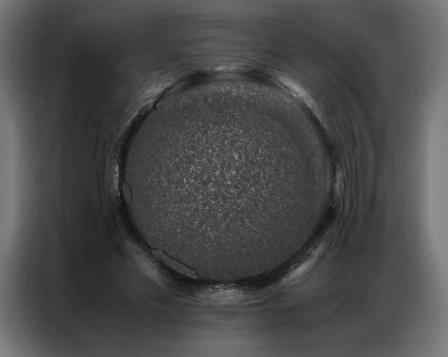 X0000086890589200704161250