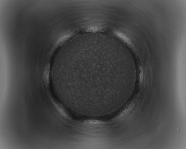 X0000086890590200704161250