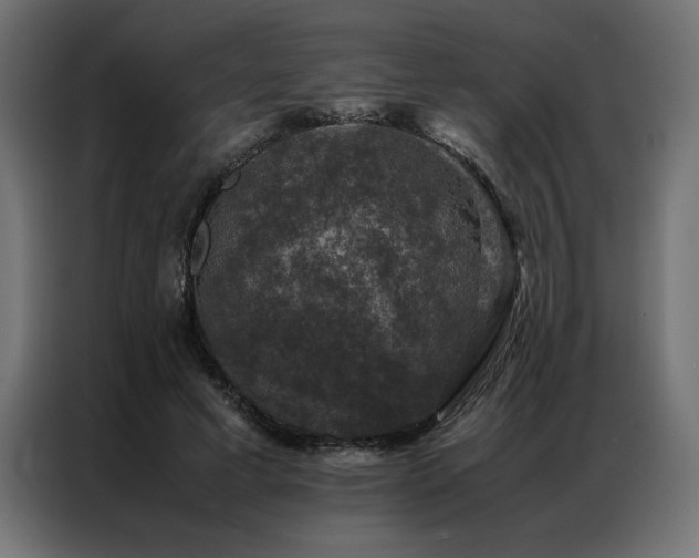 X0000086890593200704161250