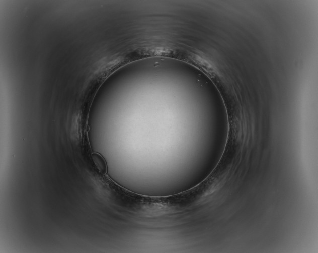 X0000086890594200704161250