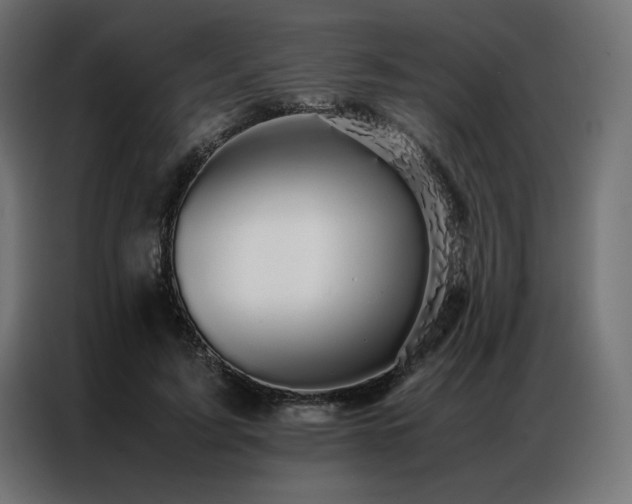 X0000086890595200704161250