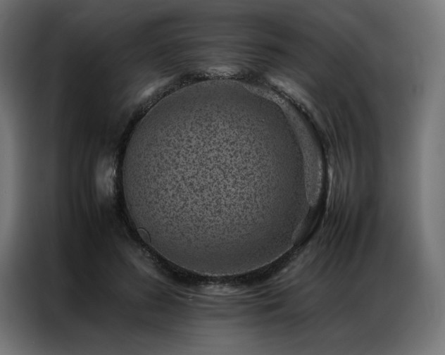 X0000086890596200704161250