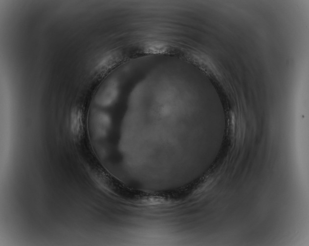 X0000086890598200704161250