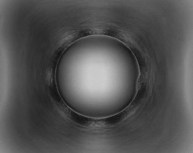 X0000086890599200704161250