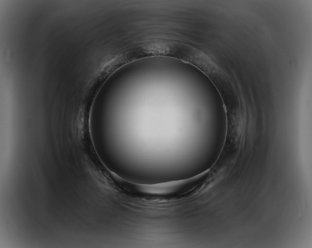 X0000086890600200704161250