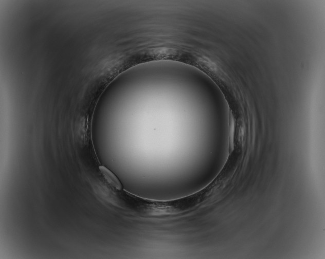 X0000086890605200704161250