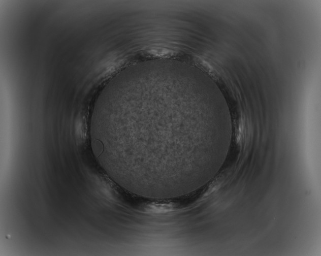 X0000086890606200704161249