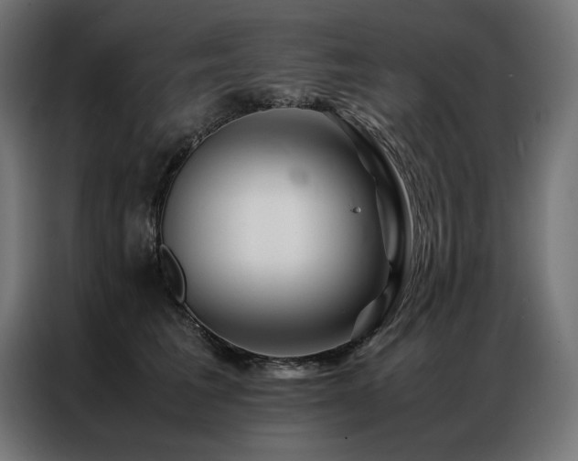 X0000086890613200704161249