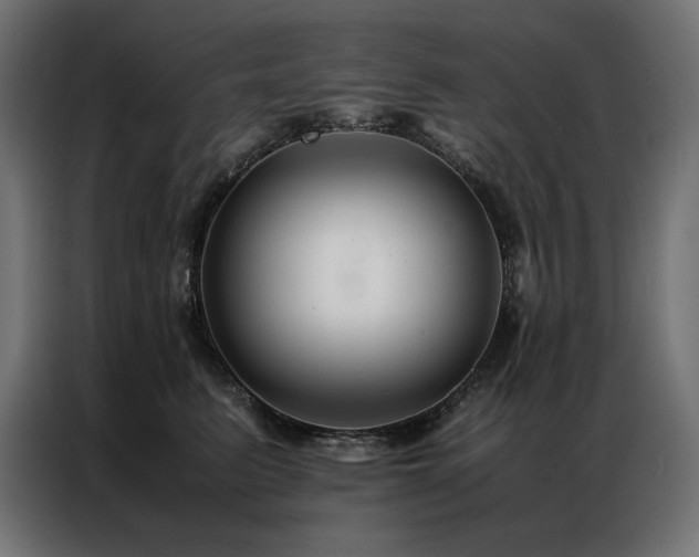 X0000086890615200704161249