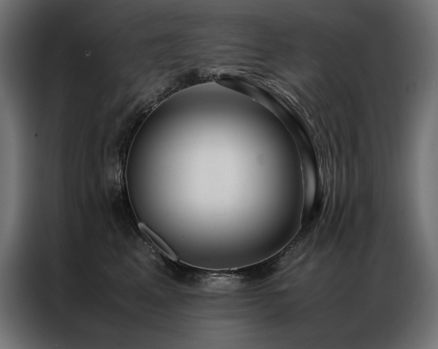 X0000086890617200704161249