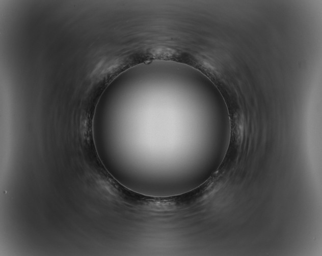 X0000086890619200704161249