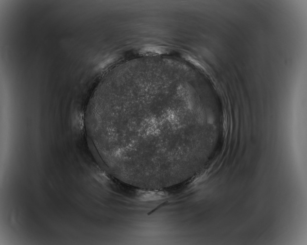 X0000086890621200704161249