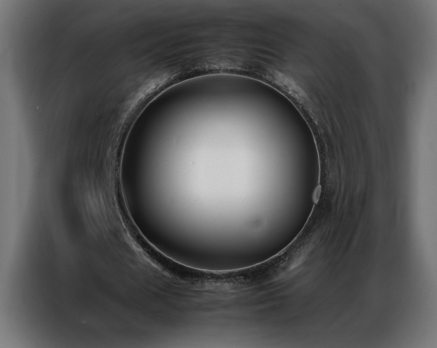 X0000086890625200704161248