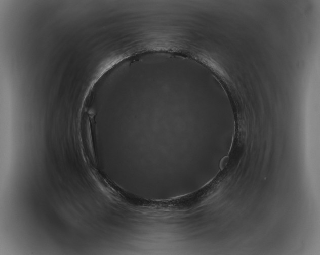 X0000086890626200704161248