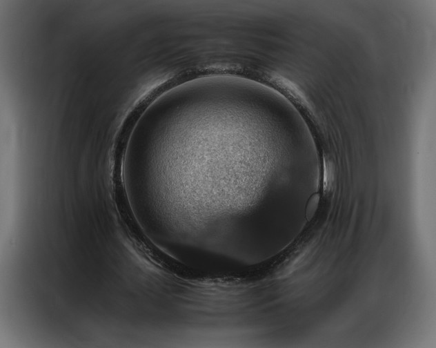 X0000086890627200704161248