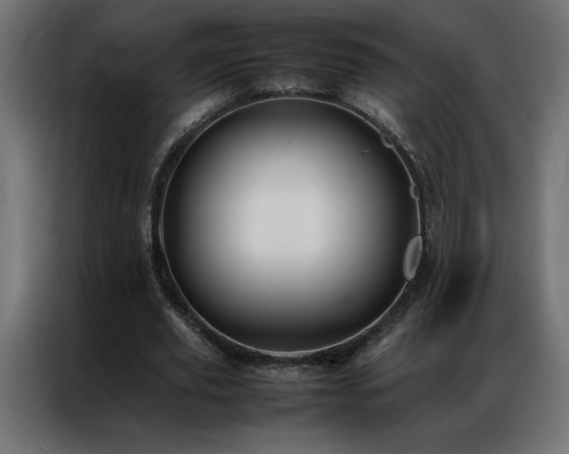 X0000086890629200704161248