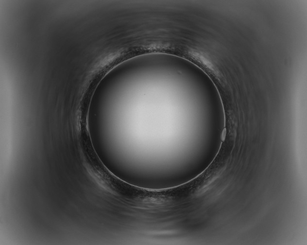 X0000086890631200704161248