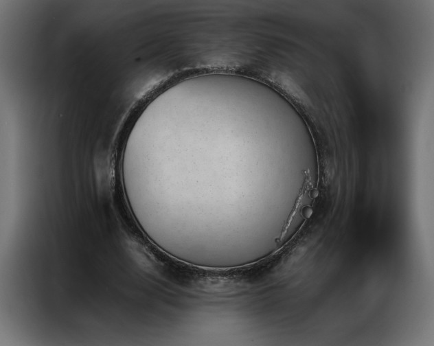 X0000086890632200704161248