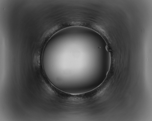 X0000086890633200704161248