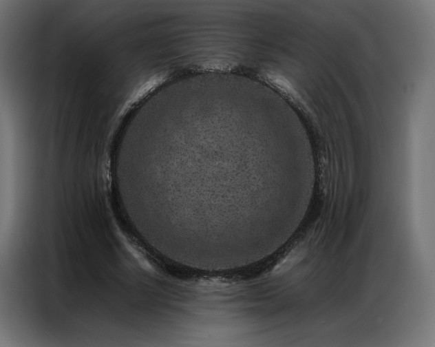 X0000086890634200704161248