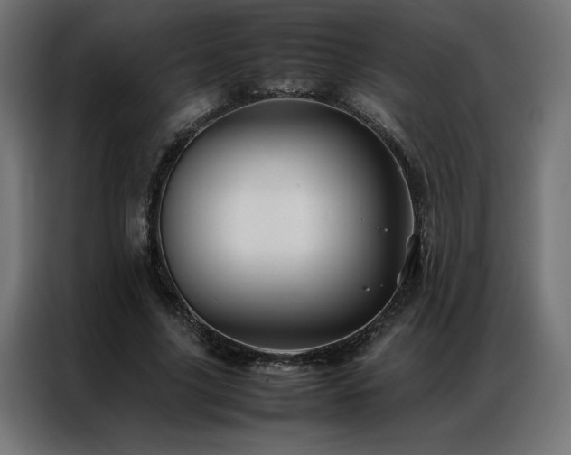 X0000086890635200704161248