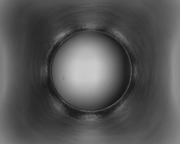 X0000086890636200704161249