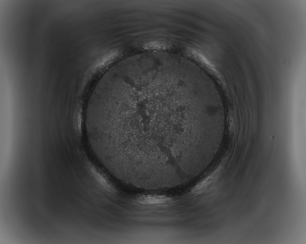 X0000086890637200704161249