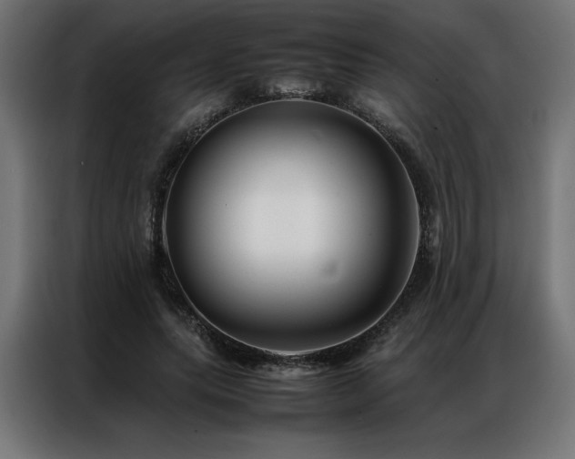 X0000086890639200704161249