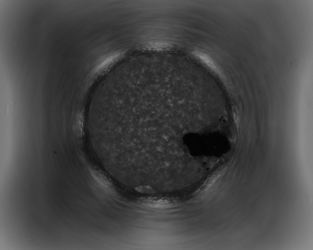 X0000086890640200704161249